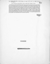Boeremia exigua image